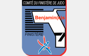 CHAMPIONNAT DEPARTEMENTAL BENJAMIN(E)S